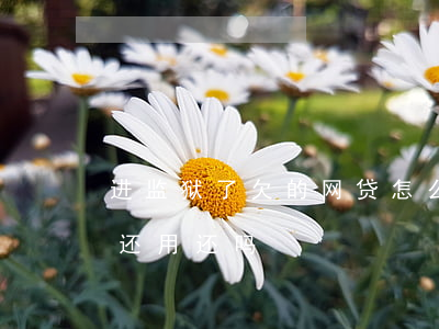进监狱了欠的网贷怎么办(如果进监狱了网贷还用还吗)