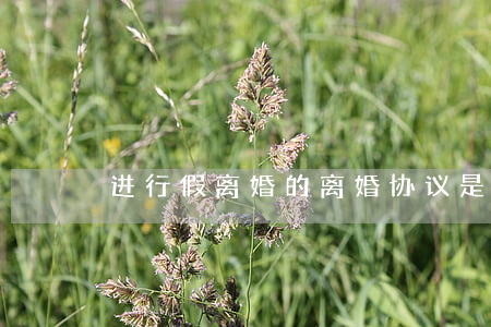 进行假离婚的离婚协议是否可以撤销？