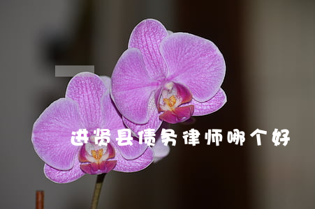 进贤县债务律师哪个好