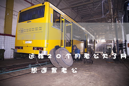 远嫁20个月老公欠了网贷(欠网贷二十万不想连累老公)