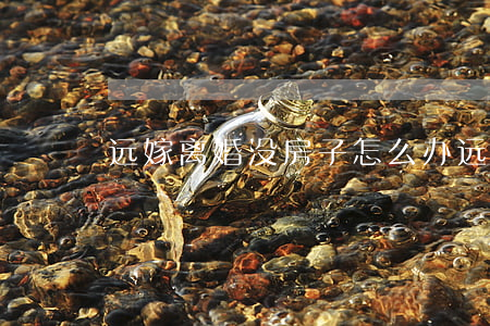 远嫁离婚没房子怎么办(远嫁想离婚怎么办)