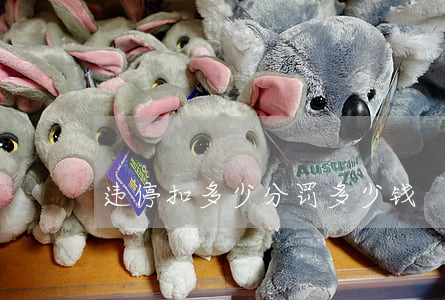 违停扣多少分罚多少钱