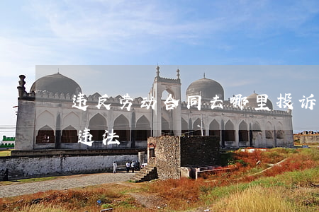 违反劳动合同去哪里投诉(举报公司劳动合同违法)
