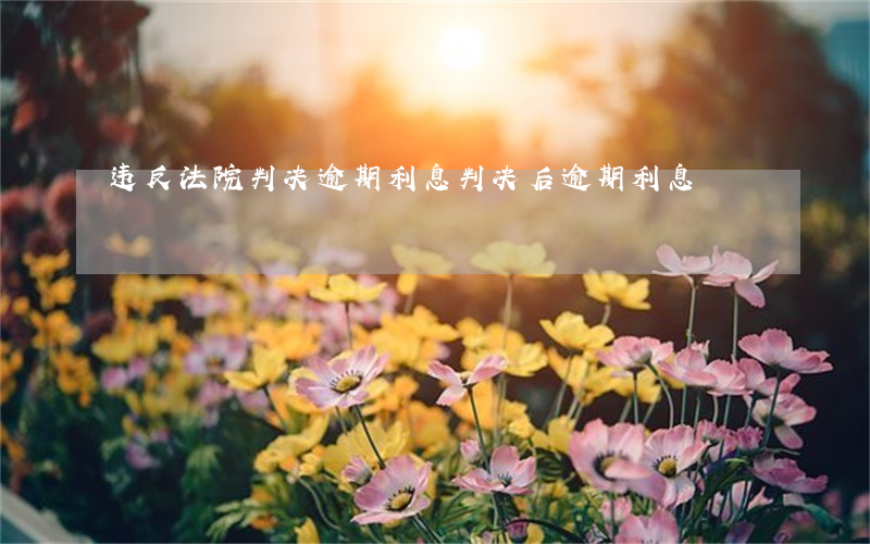 违反法院判决逾期利息(判决后逾期利息)