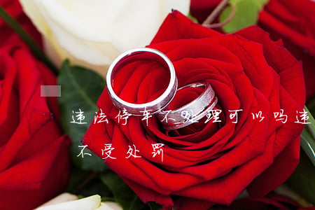 违法停车不处理可以吗(违法停车什么情况下不受处罚)