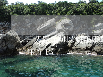 违法停车可以到年审在处理吗(违停不处理能审车吗)