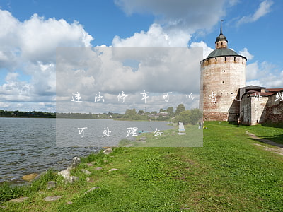 违法停车可以当天处理吗(违法停车罚单当天可处理么)