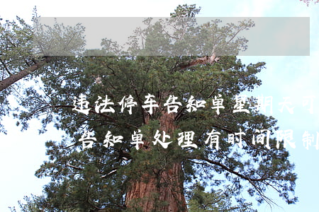 违法停车告知单星期天可以处理吗(违法停车告知单处理有时间限制吗)