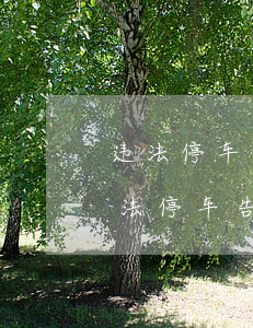 违法停车告知单过一天可以去处理吗(拿到违法停车告知单后怎么处理)