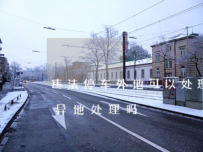 违法停车外地可以处理吗(车辆违章停车可以异地处理吗)