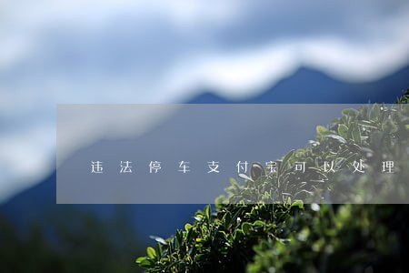 违法停车支付宝可以处理吗