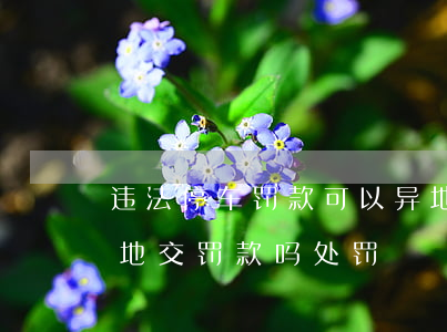 违法停车罚款可以异地缴吗(违法停车可以异地交罚款吗处罚)