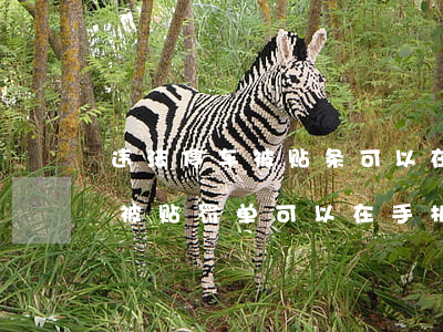 违法停车被贴条可以在手机处理吗(车辆违停被贴罚单可以在手机上处理吗)