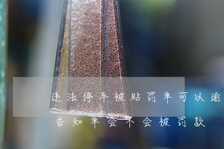 违法停车被贴罚单可以逾期吗(贴了违法停车告知单会不会被罚款)