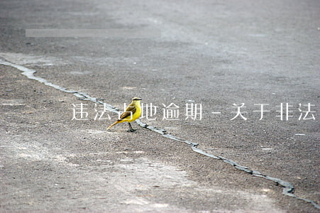 违法占地逾期-关于非法占地的通告