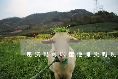 违法吗可以摆地摊卖吗(现在能不能摆地摊)