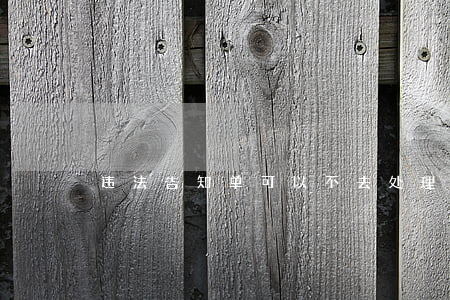 违法告知单可以不去处理吗