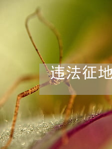 违法征地诉讼时效怎么算