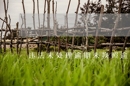 违法未处理逾期未换照 逾期未换证处罚