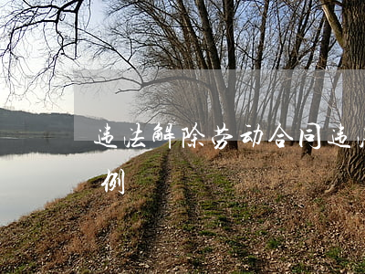 违法解除劳动合同(违法解除劳动合同仲裁案例)