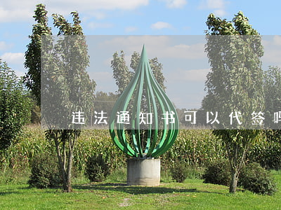 违法通知书可以代签吗(代签工资条违法)
