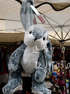 违章100逾期一个月要交多少钱-违章罚款100元逾期2个月多交多少钱