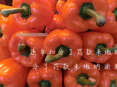 违章扣分了罚款未缴纳逾期怎么办-违章扣分了罚款未缴纳逾期怎么办理