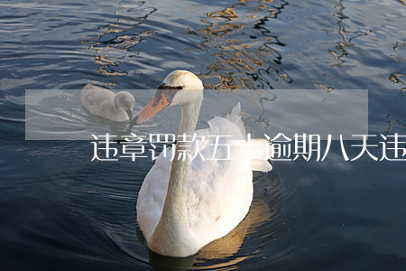 违章罚款五十逾期八天(违章处罚超过30天)
