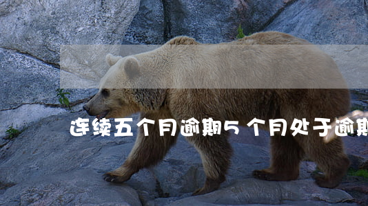 连续五个月逾期（5个月处于逾期状态）