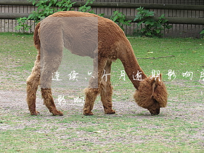 连续六个月逾期影响房贷吗（连续六个月逾期影响）