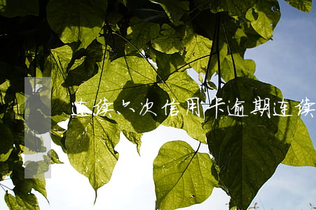 连续六次信用卡逾期(连续六次信用卡逾期)