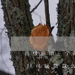 连续逾期三个月可以贷款么吗（连续逾期三个月可以贷款么）