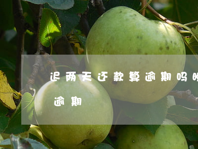 迟两天还款算逾期吗(晚几个小时还款算不算逾期)