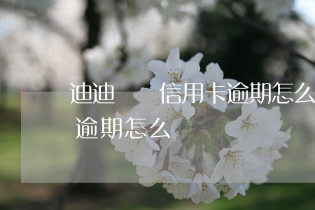 迪迪幣歐信用卡逾期怎么辦(迪迪幣歐信用卡逾期怎么辦)