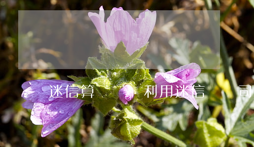 迷信算詐騙嗎(利用迷信詐騙司法解釋)