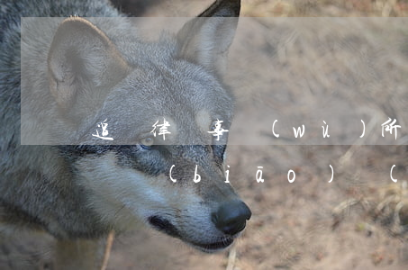 追債律師事務(wù)所合法嗎(追債律師收費標(biāo)準(zhǔn))