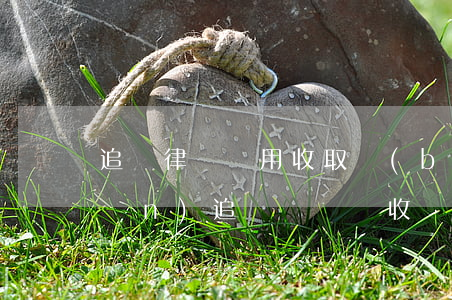 追債律師費用收取標(biāo)準(zhǔn)(追債訴訟費收費標(biāo)準(zhǔn))