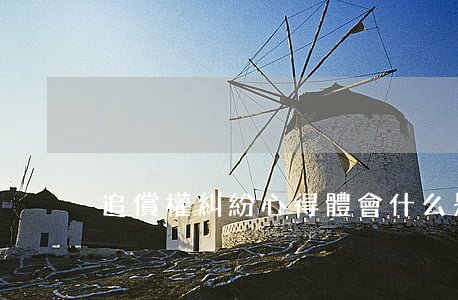 追償權糾紛心得體會(什么是追償權糾紛案)