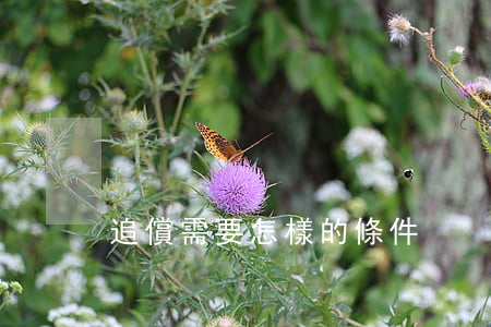 追償需要怎樣的條件
