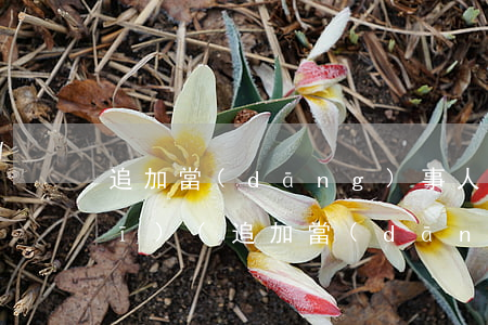 追加當(dāng)事人的法律法規(guī)(追加當(dāng)事人有什么規(guī)定)