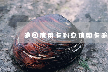 追回信用卡利息(信用卡逾期利息)