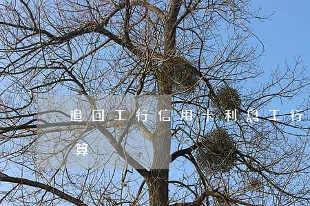 追回工行信用卡利息(工行的信用卡利息怎么算)