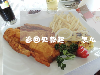 追回欠款起訴狀怎么寫(追回欠款起訴狀怎么寫)