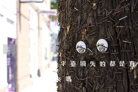 追回黑平臺損失的都是真的嗎(黑平臺被騙能追回來嗎)
