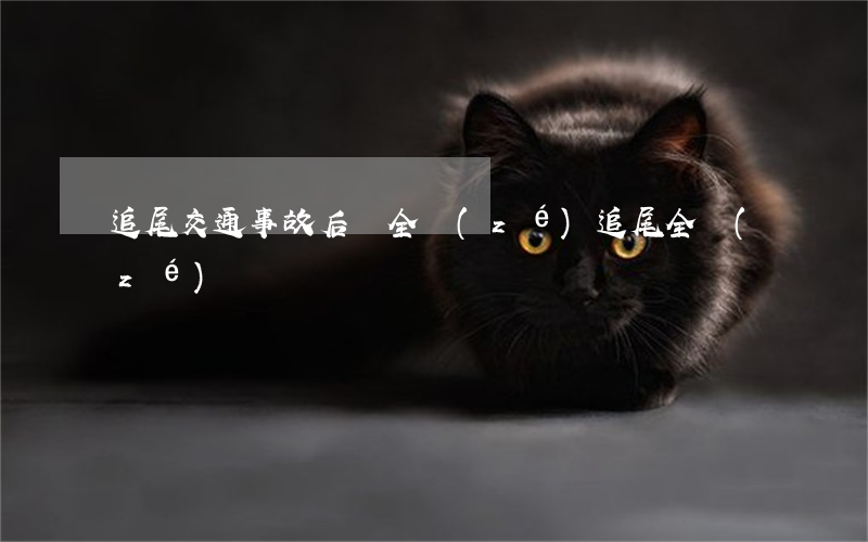 追尾交通事故后車全責(zé)(追尾全責(zé)?)