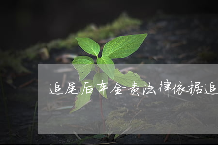 追尾后车全责法律依据(追尾是否全责)
