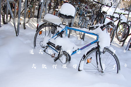 追欠款代理律師費(fèi)用一般多少(追欠款代理律師費(fèi)用一般多少)