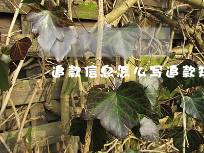 追款信息怎么写(追款短信怎样写)