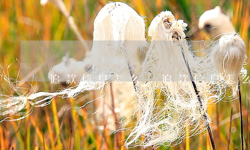 追款信息怎么寫(追款信息怎么寫)