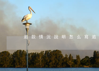 追款情況說明怎么寫(追收欠款情況說明)